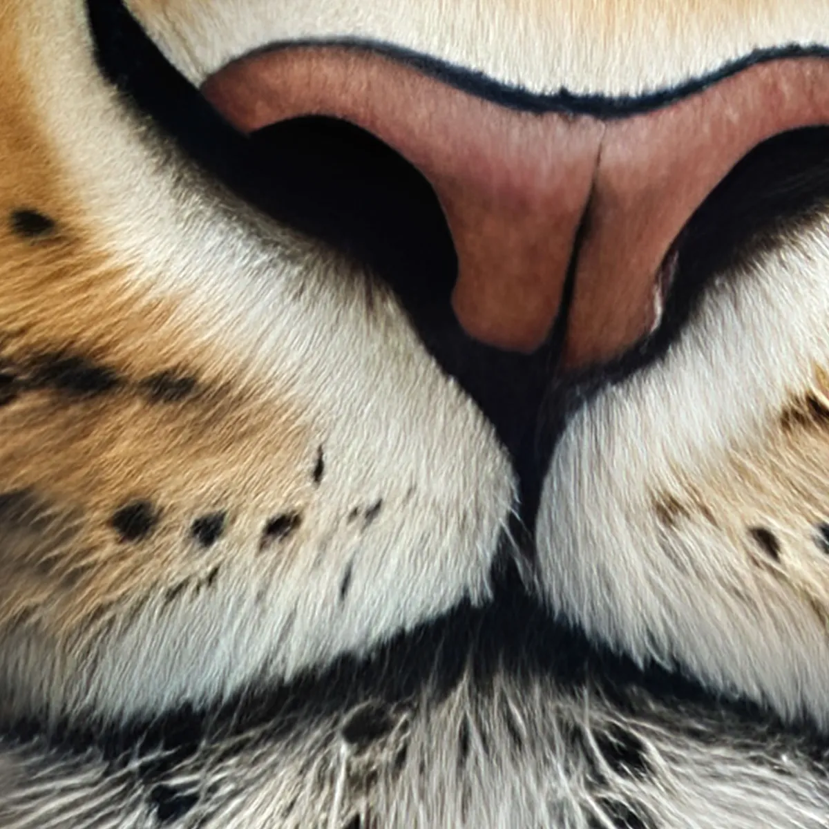 Close-up of the leopard artwork revealing intricate fur texture, whiskers and museum-quality detail
