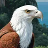 Close-up of Brahminy Kite overlooking the Andaman Sea